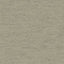 Beige Beige